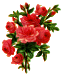 icon rose